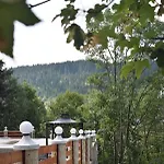 Hotel Alpin