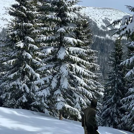 Alpin * Bukovel