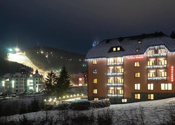 Отель Alpin *